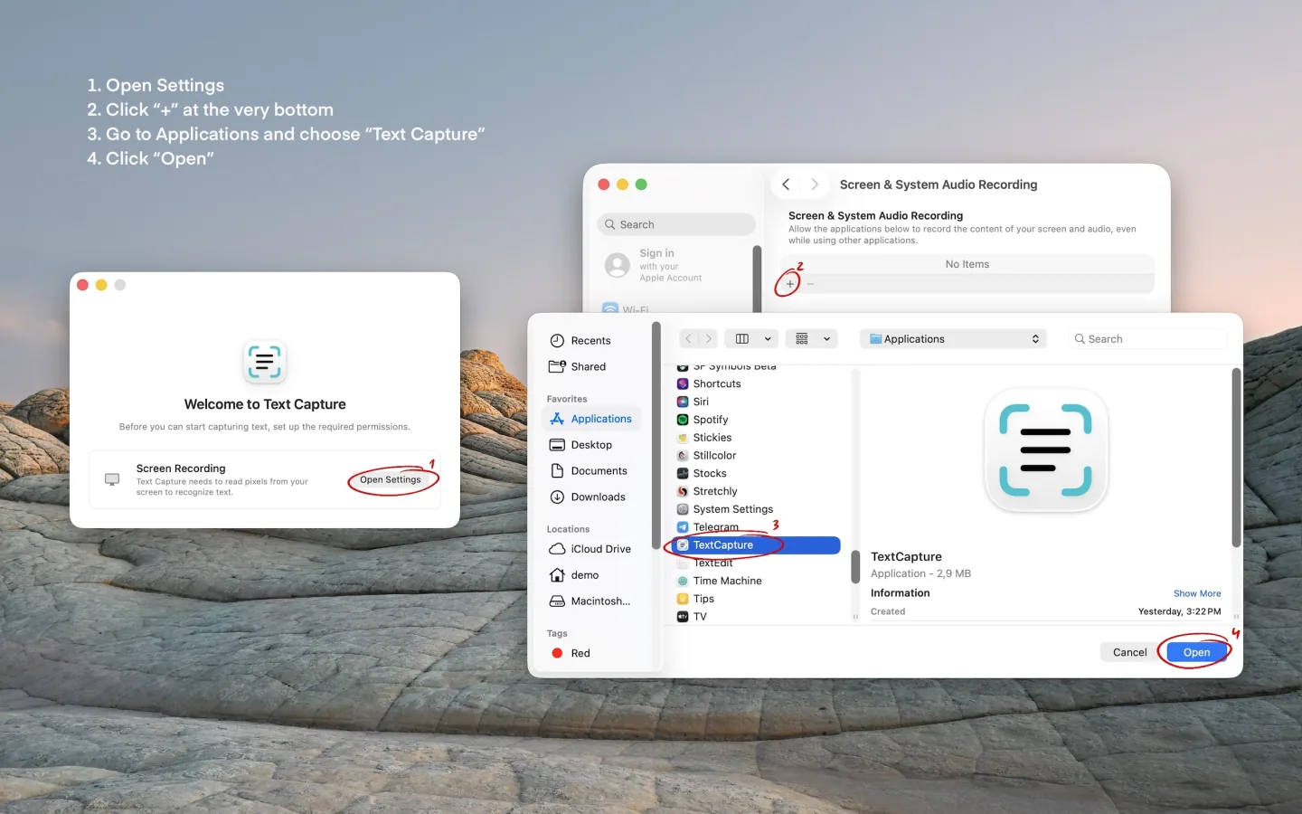 Review screen access for Text Capture